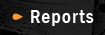 Reports